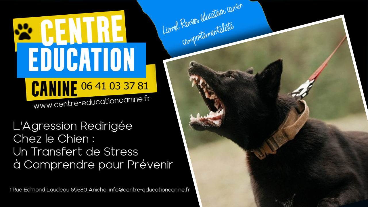 Comment rendre ton chiot propre rapidement et efficacement